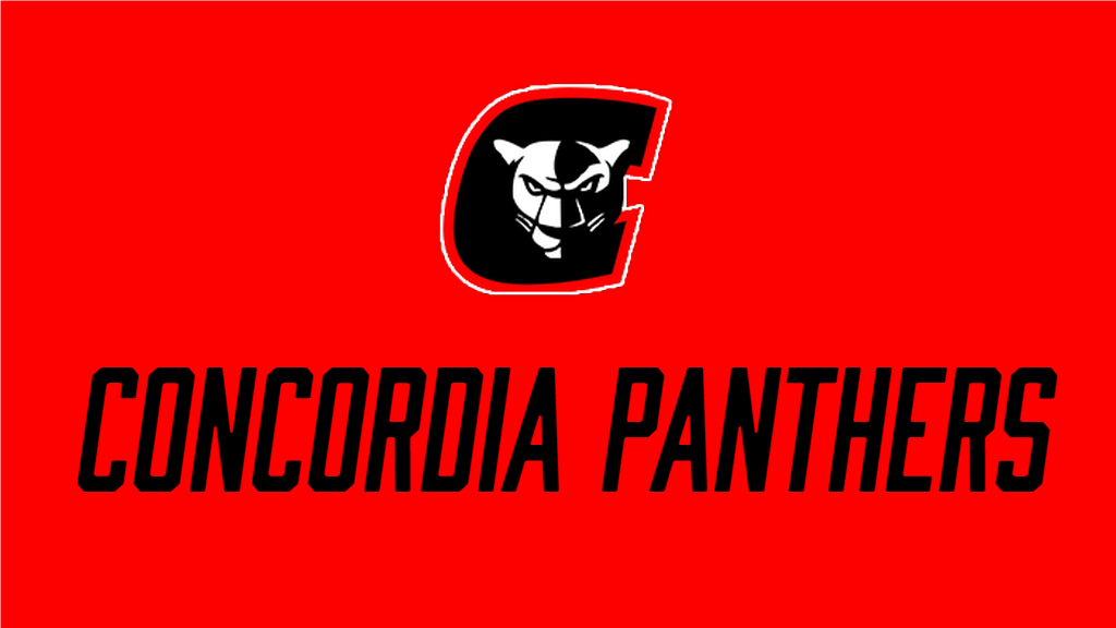 Wildeman Named New Concordia Football Coach